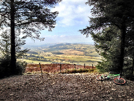 Llandegla Canada Forest
