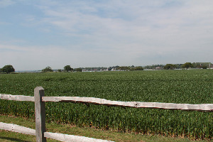 Bosham Quay