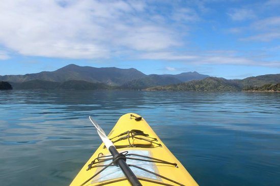 Marlborough Sounds Adventure Company - Day Tours