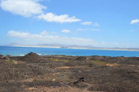Ocean People - Corralejo Catamarans - Day Tours