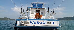 Wahoo