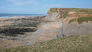 Summerleaze Beach