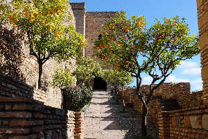 Alcazaba