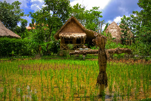 Thailand Town