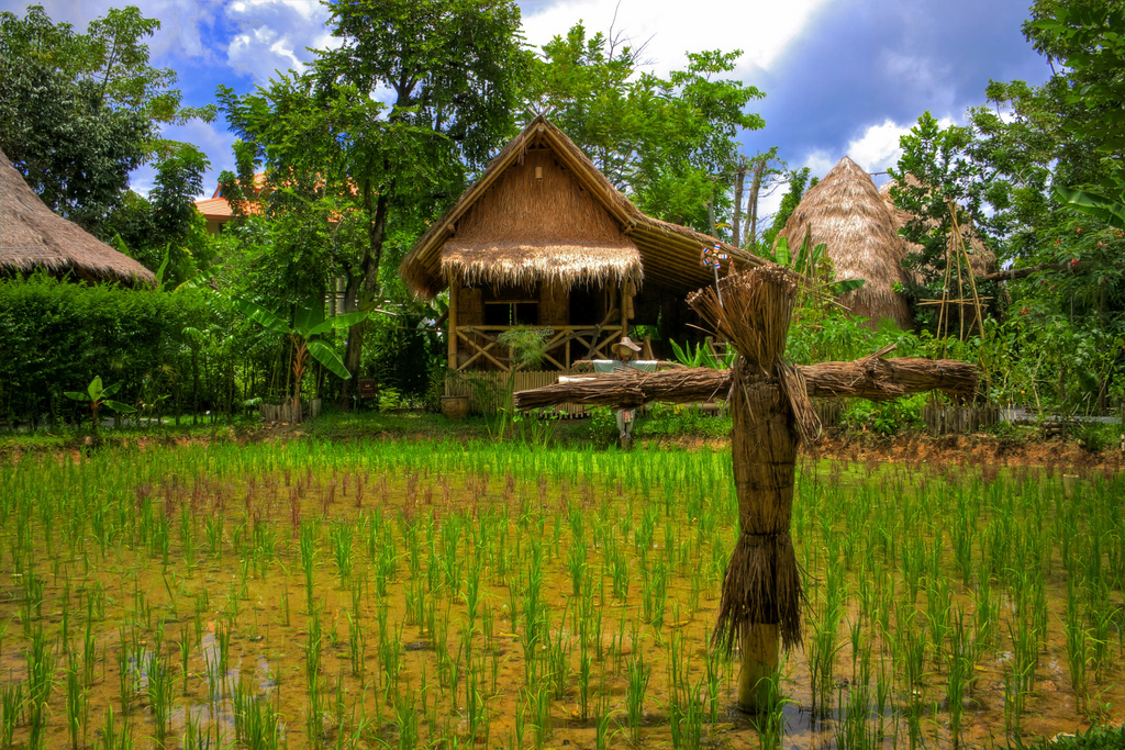 Old Phuket Town