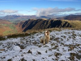 Central Fells