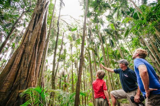 Southern Cross 4WD Tours
