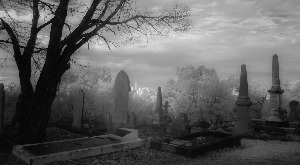Toowong Cemetery