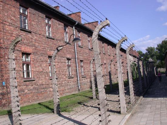 Escape2Poland - tours  and transfers