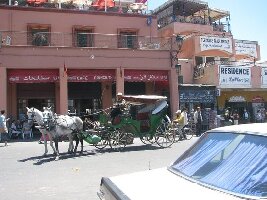 Ecomusee Berbere