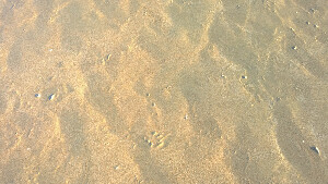 Chiclana de la Frontera Spain Beach