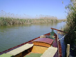 Parque Natural de la Albufera