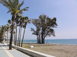 Playa de San Pedro de Alcantara