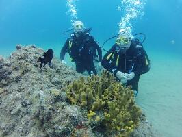 Puerto del Carmen Spain Dive