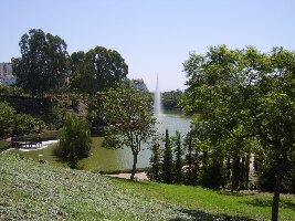Parque De La Paloma