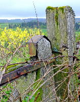 Cotswold Way