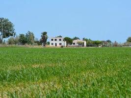 Deltebre Spain Natural