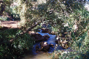 Ouzoud Falls