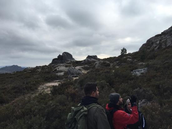 My Greenway Tours