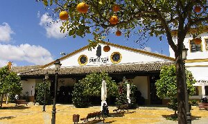 The House of Sandeman Jerez