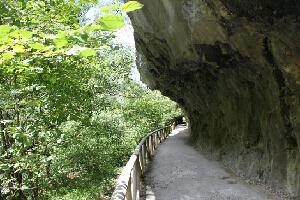 TeverAstur Senda del Oso
