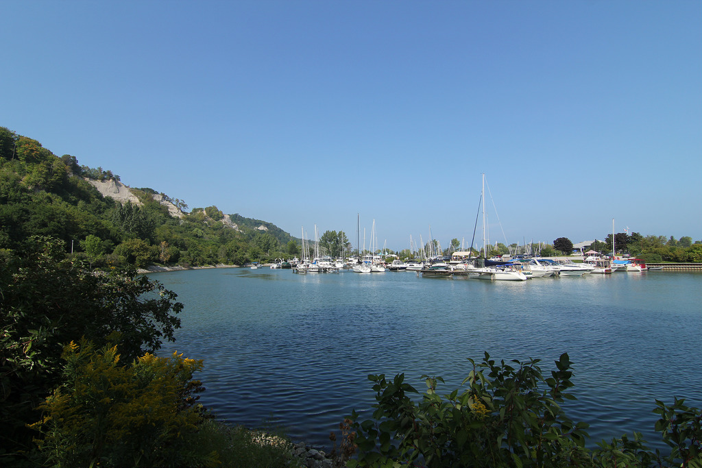 Bluffers Park