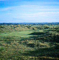 County Louth Golf  Club