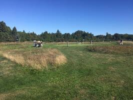 Michigan United States Golf