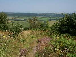 Dalby Forest