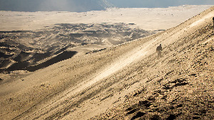 Sand Sea