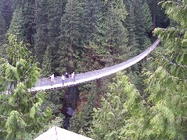 Allen Banks and Staward Gorge