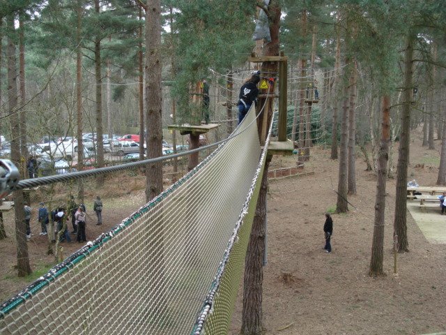 Go Ape Bracknell