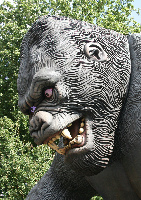 Bobbejaanland