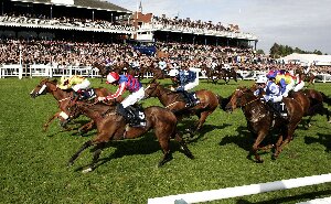 The Races at Ayr Racecourse