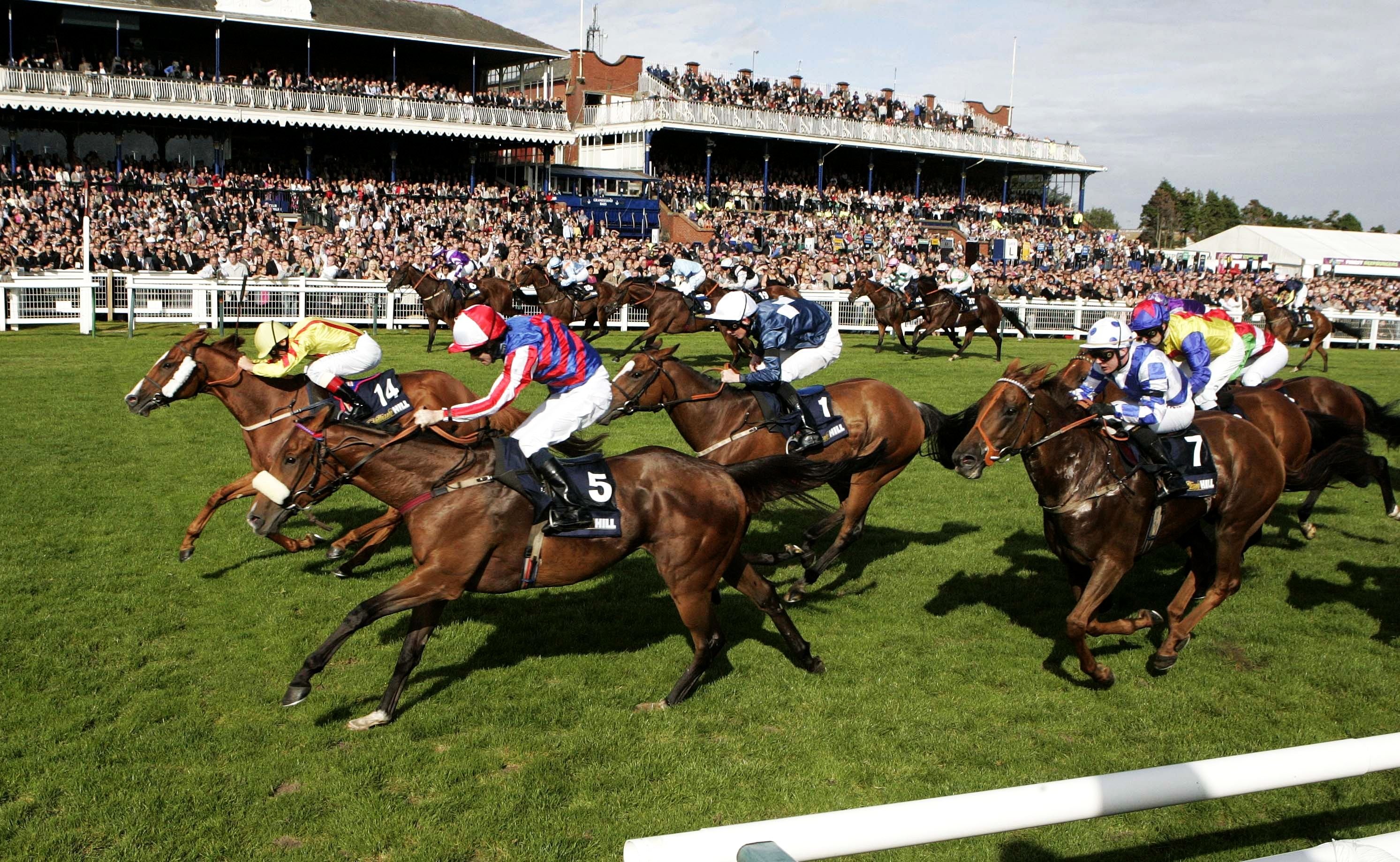The Races at Ayr Racecourse