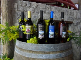 Tenuta San Francesco