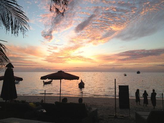 Maya Beach  Club