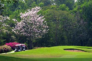 Bangkok Thailand Golf