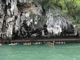 Phuket Seahorse Tours