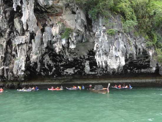 Phuket Seahorse Tours