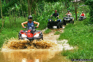 Anda Adventure - Day Tours
