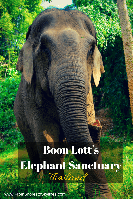 Boon Lott's Elephant Sanctuary
