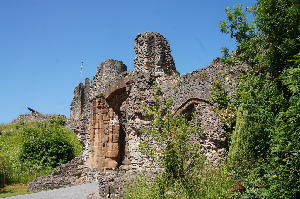 Dudley Zoo and Castle
