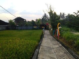 Sedona Spa  Ubud
