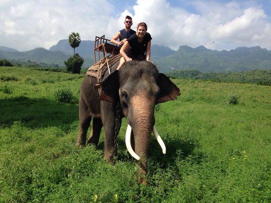 Mam Tours - Day Tours