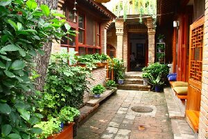 The Hutong - Culture Exchange Center