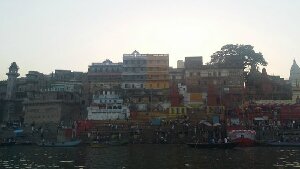 Groovy Tours  - Day Tours