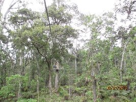 Kona Adventure Tours