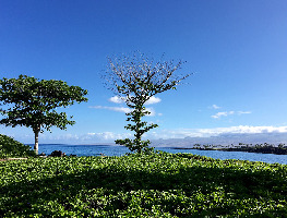 Hawaii United States Beach