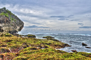Bali Indonesia Beach